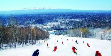 洛阳滑雪场爆料视频最新,冰雪奇缘体验开启！  第3张
